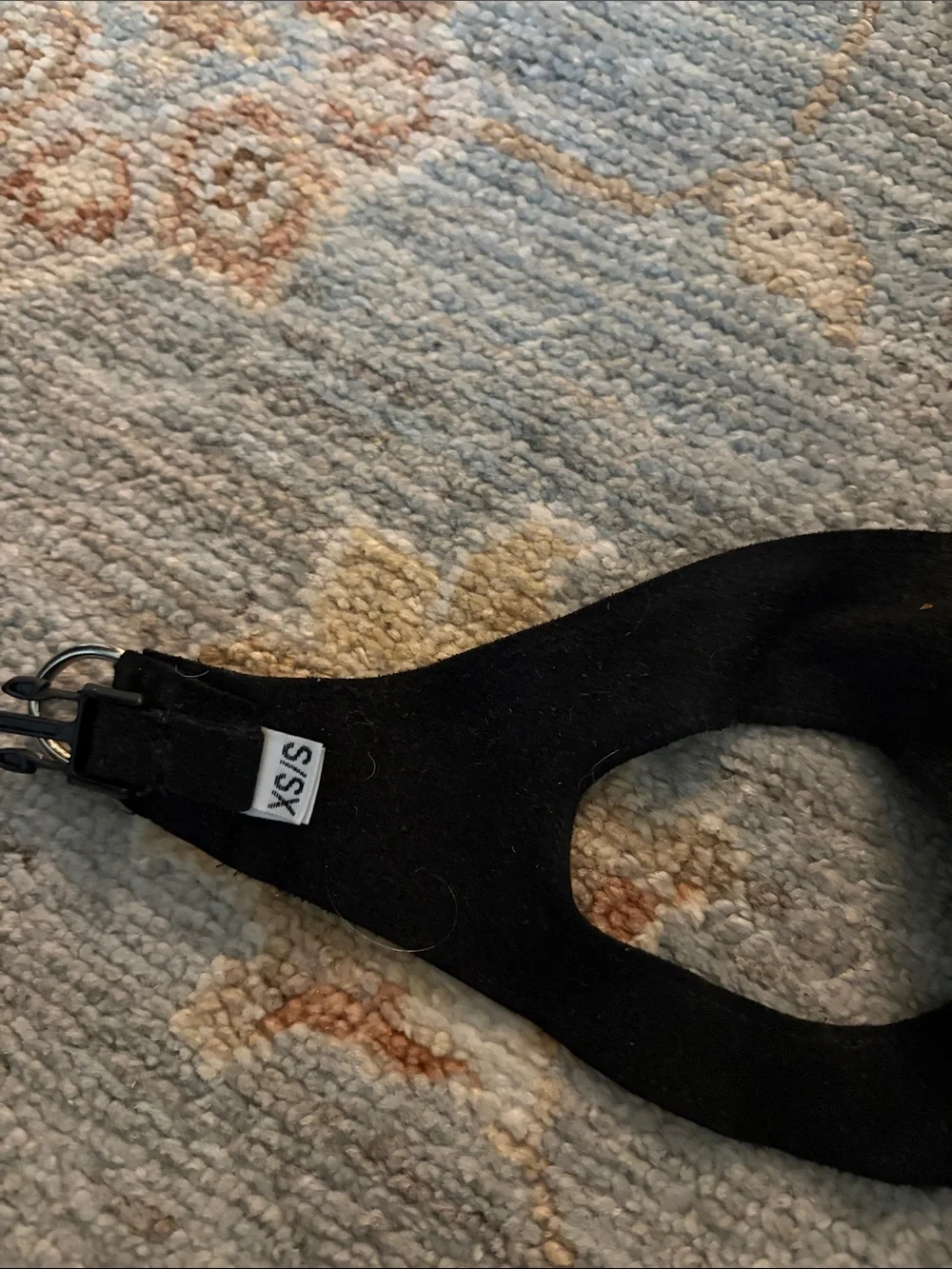 Susan lanci step in harness